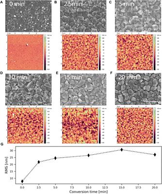 Understanding the Formation Process of Perovskite Layers Grown by Chemical Vapour Deposition